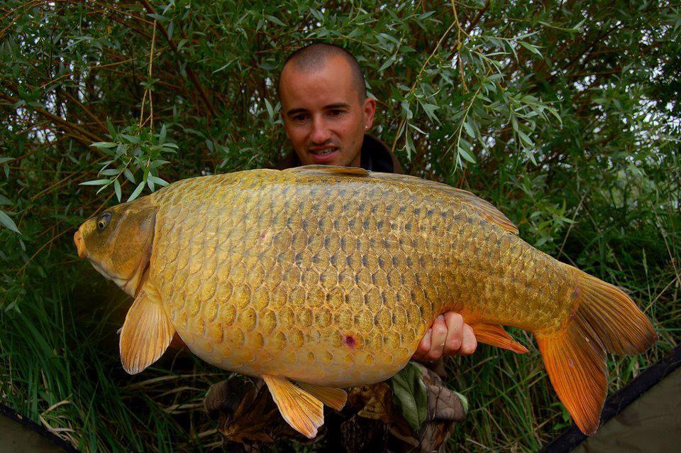 crapi mari - 4272542886303312659041010585873n.jpg